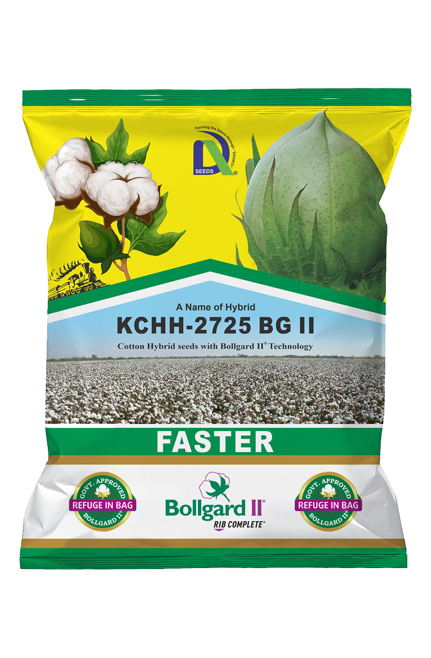 cotton-2725 Dharti Seeds